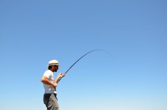 Tgoon Convenient Sea Fishing Bait Strong Penetration,for River,Ocean Boat  Fishing,Ocean Beach Fishing,Lake Fishing