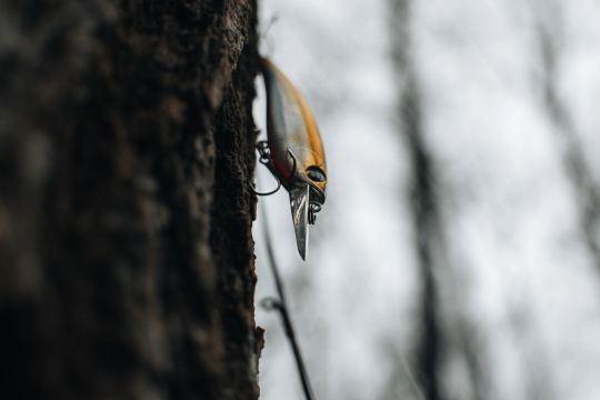 Un leurre filiforme