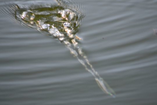 Un longue tirée génère un grand nuage de bulles