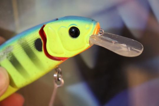 How to deduce the swim of a hard swimbait according to its design?