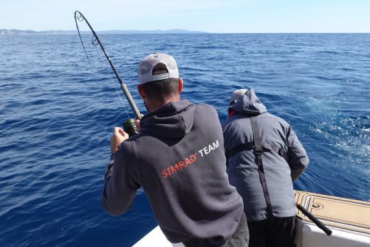 Shock leader Varivas Nylon, for bluefin tuna lure fishing