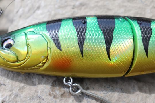 Les couleurs sont belles et flashy.