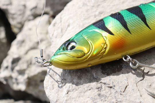 Les yeux du BB180-MSS sont réussis.
