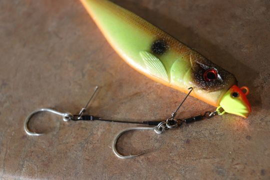 4 advantages of mounting soft lures on a shallow rig