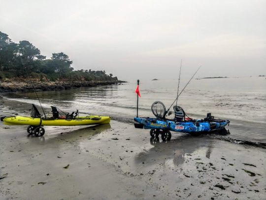 Floating Diving Bass Pollock Lures Sea Fishing Shore Boat Kayak