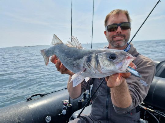 Learn or improve fly-fishing for sea bass on video