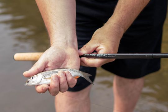 Fishing: Recommendations, equipment and techniques