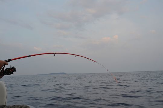 https://media.fishing.news/fishing/43739/rod-a-fish-reel-peche-en-eau-profonde-1.jpg