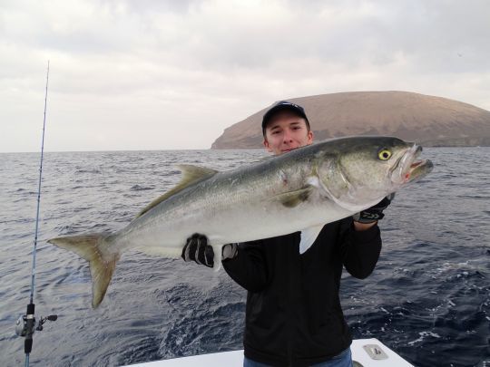 Pêche d'un gros tassergal en bateau