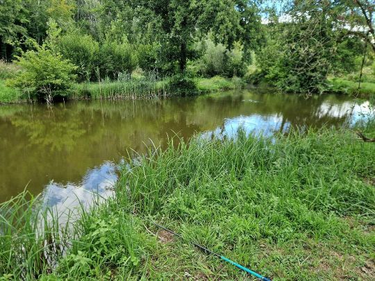 To make the most of summer, think of fishing in small, forgotten places