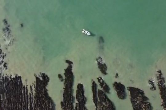 Le bar peut être prélevé en bateau mais pas depuis le bord