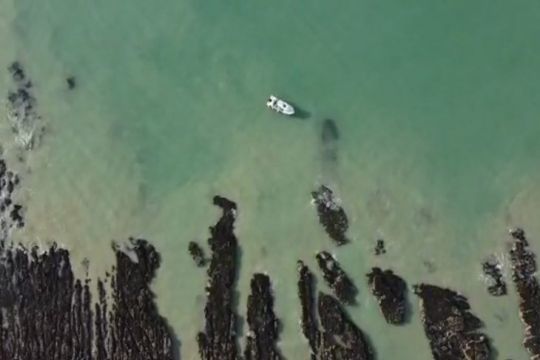 Le bar peut être prélevé en bateau mais pas depuis le bord