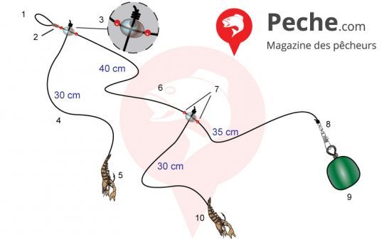 Le montage palangrotte pour le griset