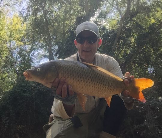 Carp sight fishing, fly fishing in the South of France