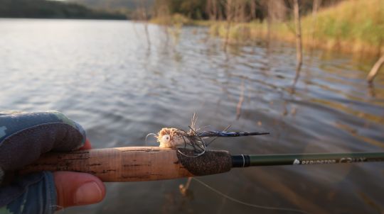 Le black bass adore monter en surface. Ici un deer hair popper 