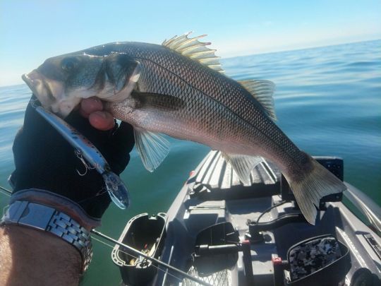 Fishing Bass From A Kayak - In-Fisherman