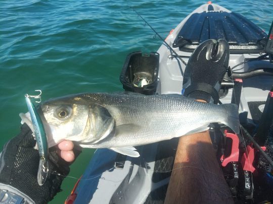 Kayaks de pesca –  :: Your Best Fishing Experience