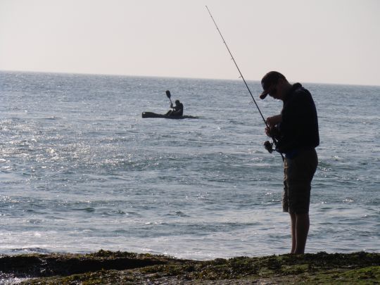 Loi bar 2023: sea bass fishing from the shore once again authorized!