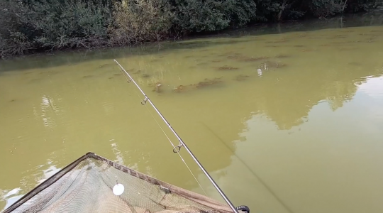 Carp fishing from a boat, a fast and efficient approach