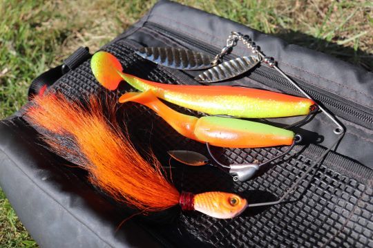 4 lure colors for pike fishing in humic waters