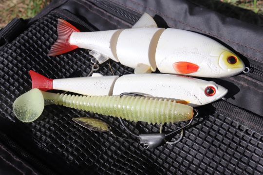 4 lure colors for pike fishing in humic waters