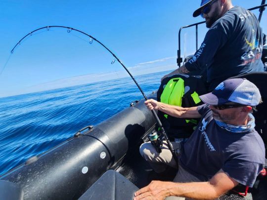 Choosing your reel for bluefin tuna fishing, 5 models tested