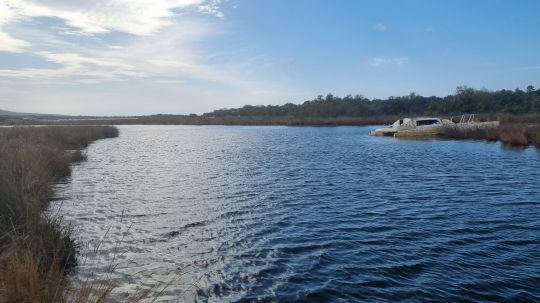 La bonne saison pour pêcher les estuaires