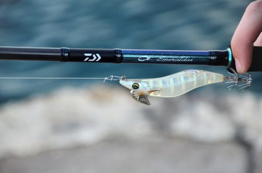 Looking for Squid rods?, Daily deals