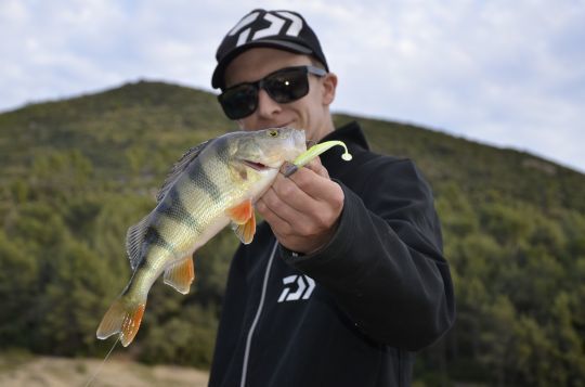 PERCH FISHING FROM SHORE 