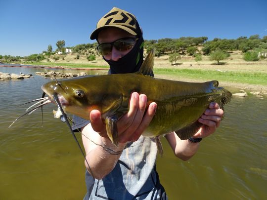 Se renseigner sur les dangers potentiels