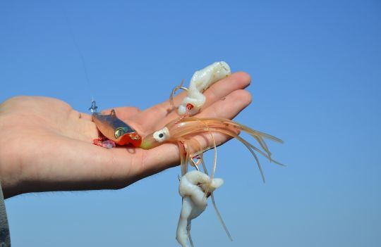Certains leurres sont déjà équipés d'octopus