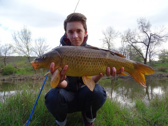 Pêcher la carpe au maïs