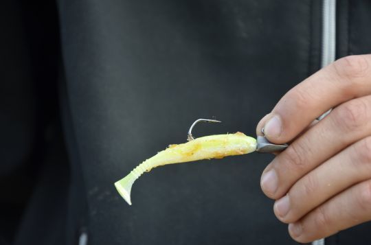 Sélectionner le bon type de leurre pour moins accrocher