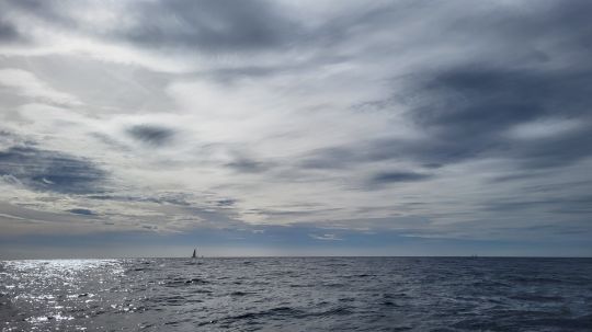 Un brusque changement met en pause le poisson