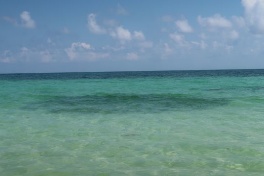 Regroupement de bonefish sur un flat mexicain. La tache noire sur la photo! Plus qu'à lancer dans le tas!  