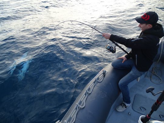 Une souplesse exceptionnelle pour la pêche au vif des gros poissons