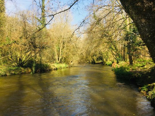 Il sera important dès l'ouverture d'avoir une bonne lecture de l'eau pour trouver les postes favorables