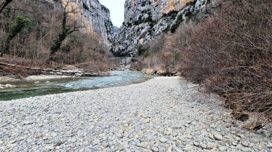 Le niveau de l'eau et la teinte sont à prendre en considération