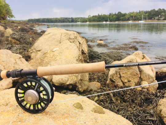 Le bar se pêche très bien à la mouche que ce soit en mer ou en estuaire