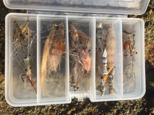 Assortiment de mouches crevette pour la pêche du bar