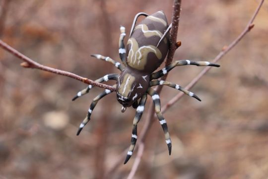 On croirait une vraie araignée !