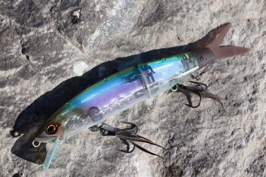 La couleur classic japan shad est vraiment belle !