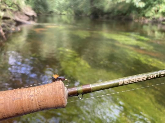 Les cannes courtes comme la SAGE dart sont à privilégier en petites rivières
