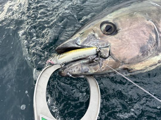 Par fort coefficient, prenez le large !