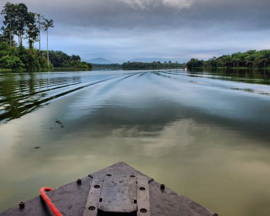 Partir à la recherche d'un poisson mythique