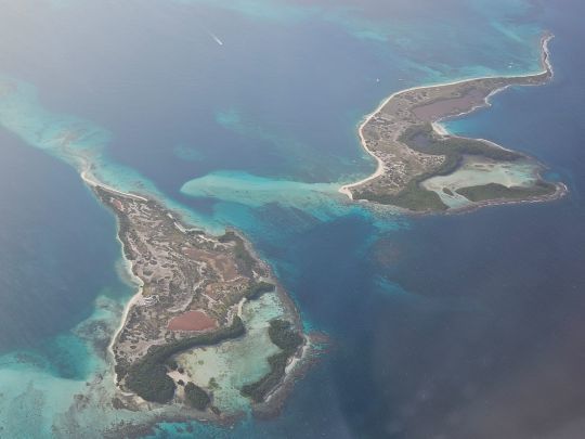 Plages, lagunes, flats, offrent un habitat exceptionnel pour abriter un large panel d'espèces