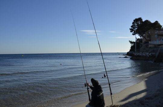 Le surfcasting, une technique de pêche condamnée !