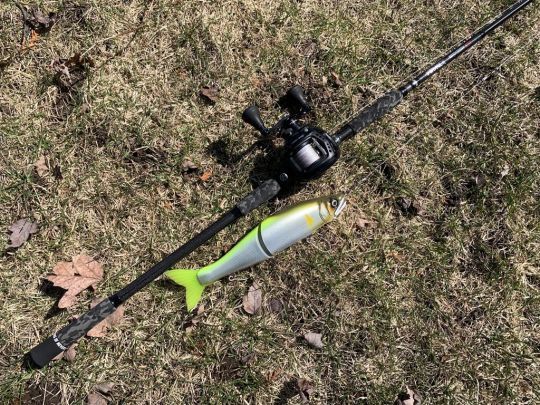 Cette canne est parfait pour voyager !