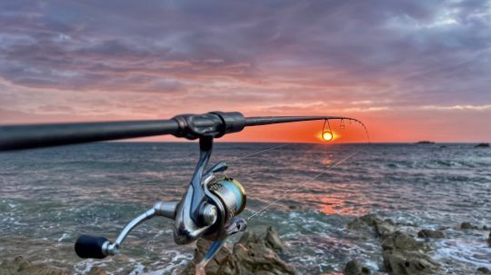 Seul au bord de l'eau avec sa canne à pêche !