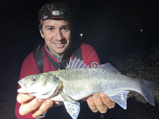 Exploiter chaque leurre pour réussir